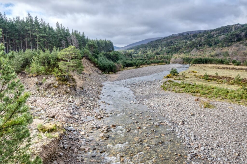 pinien river feshie