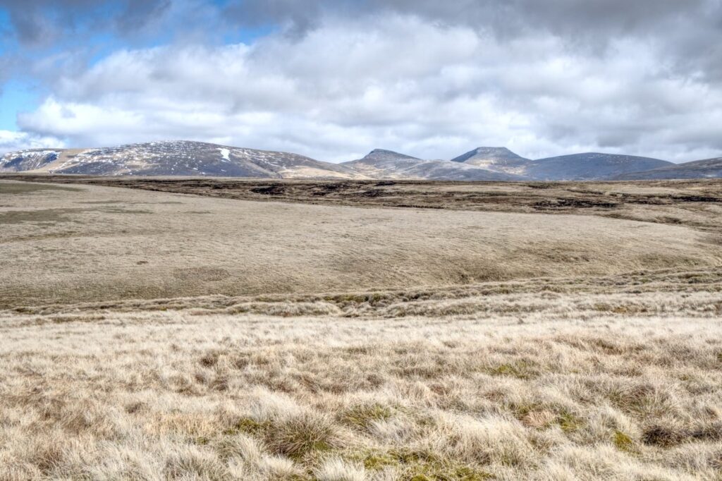 Graslandschaft auf dem Cairngorms-Plateau