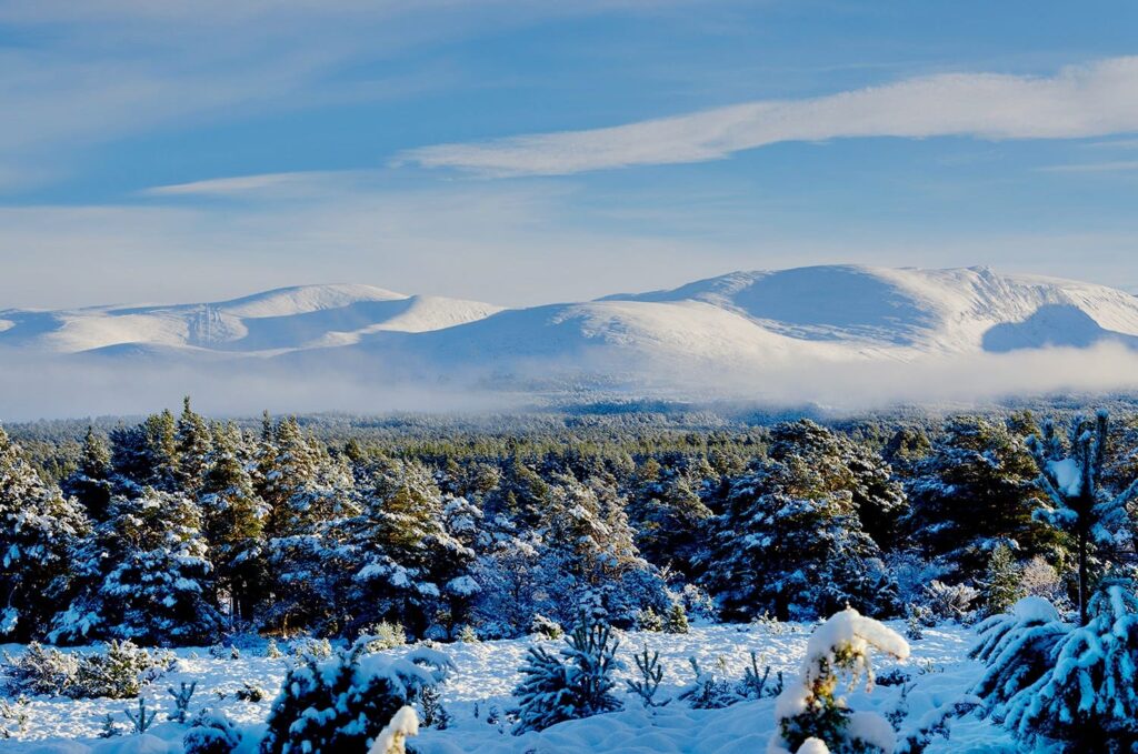 winterpano