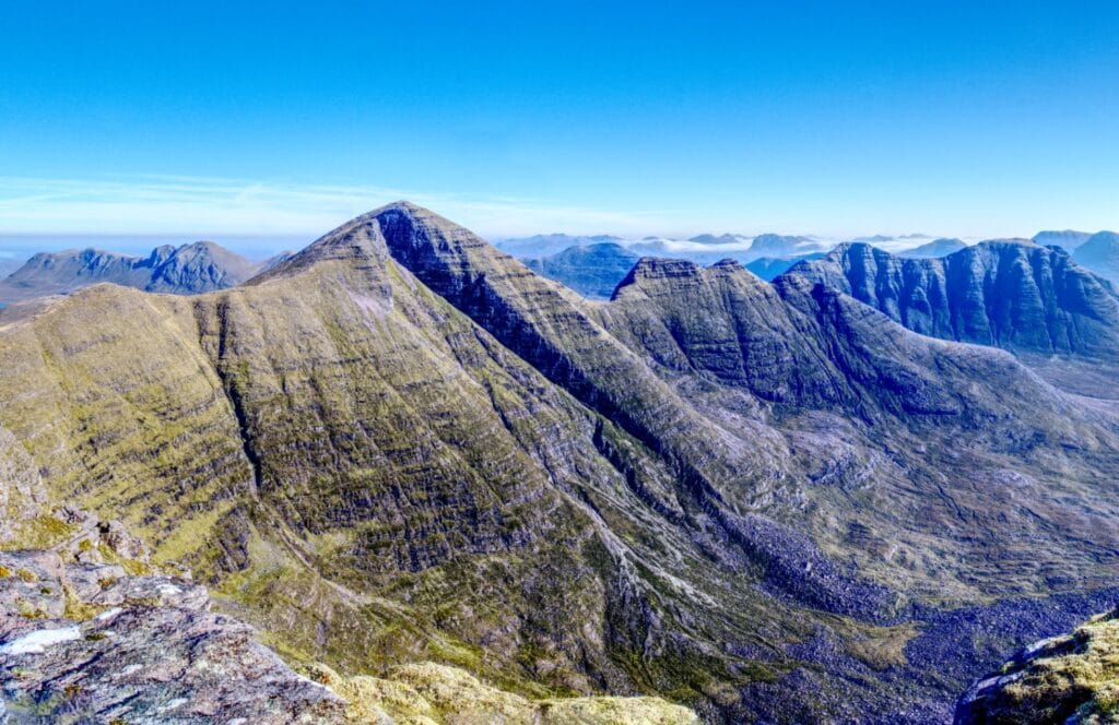 alligin