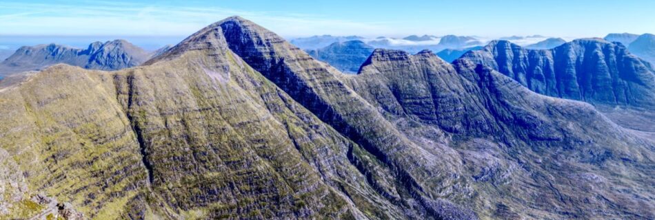 alligin