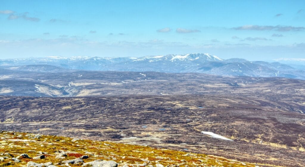 Blick von Mount Keen auf die noch verschneiten Gipfel der östlichen Cairngorms über eine rollende Moorlandschaft