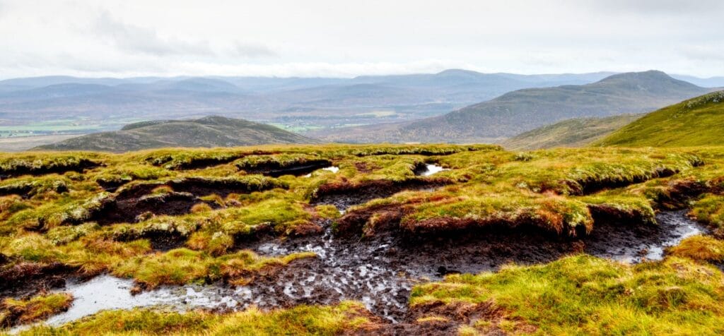 Landschaft mit Schlammlöchern